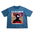 Spider Graphic Boxy Fit